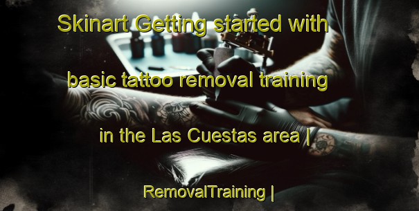 Skinart Getting started with basic tattoo removal training in the Las Cuestas area | RemovalTraining | RemovalClasses | SkinartTraining-Mexico